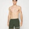 Boss Dolphin - Swimming Shorts - Green